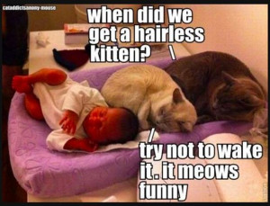 Funny Fever Quotes in English Image 23