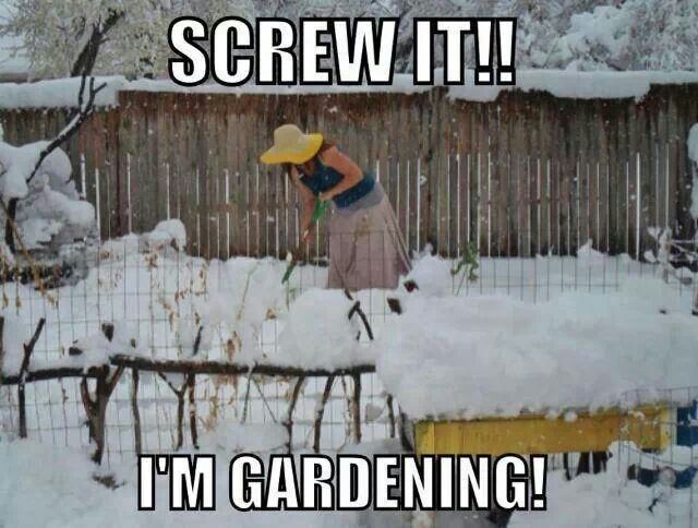 Funny Fever Quotes in English Image 62